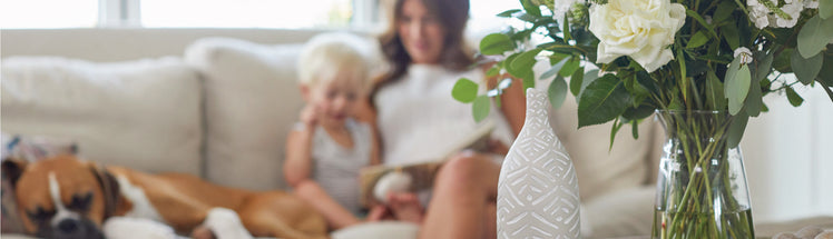 Jillian Harris sitting on the couch with her son and dog
