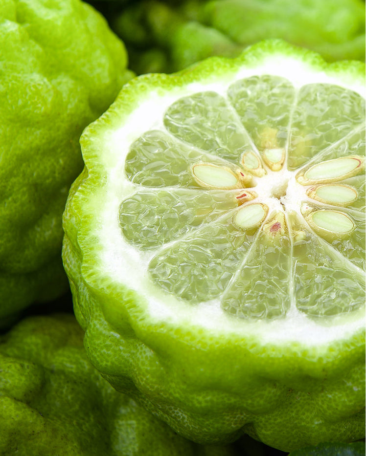 WHAT IS BERGAMOT OIL? BERGAMOT OIL INFO, USES, AND BENEFITS