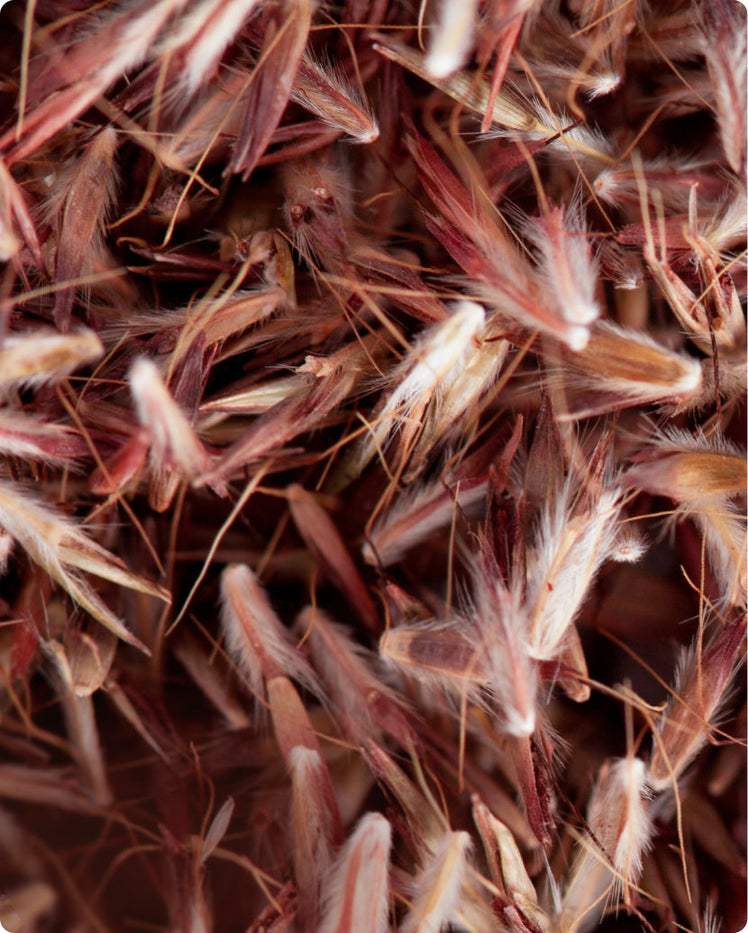 Palmarosa - What is it?